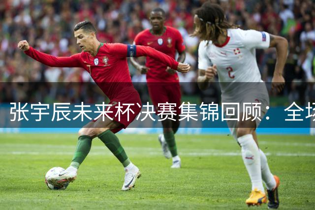 张宇辰未来杯决赛集锦回顾：全场砍下15分助真理队夺冠